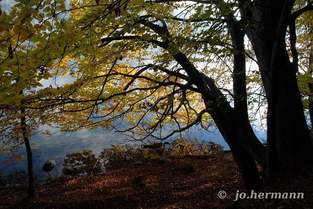 Herbst am See-014.jpg